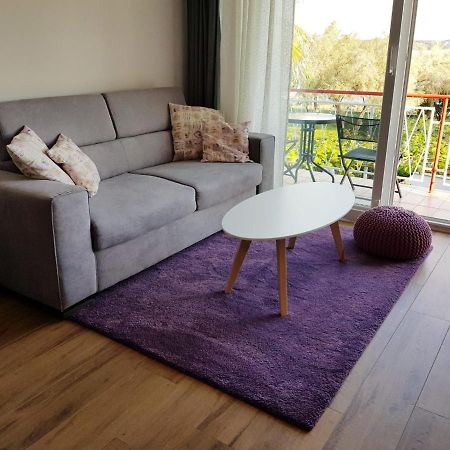 Apartman Luka Novigrad Istria 外观 照片
