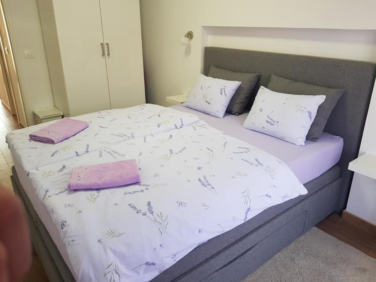 Apartman Luka Novigrad Istria 外观 照片