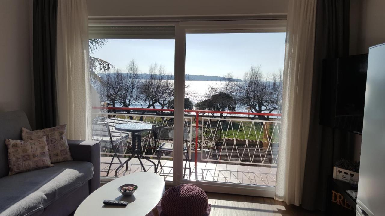 Apartman Luka Novigrad Istria 外观 照片