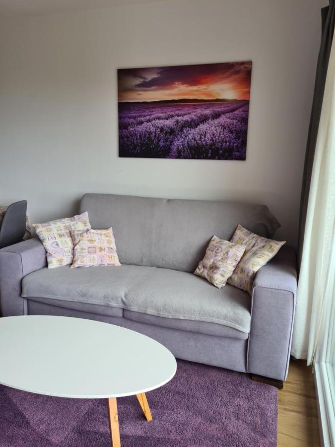Apartman Luka Novigrad Istria 外观 照片