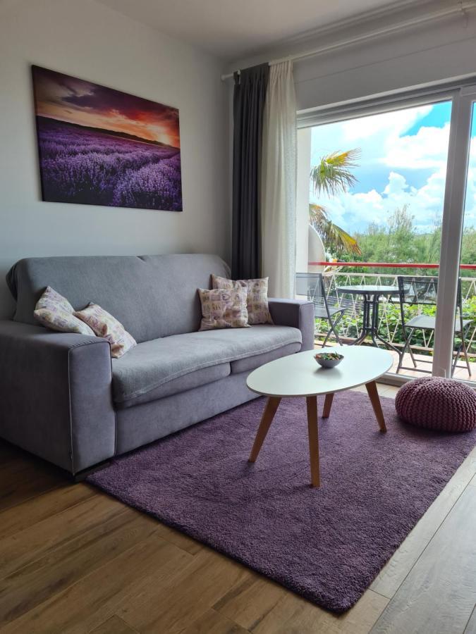 Apartman Luka Novigrad Istria 外观 照片