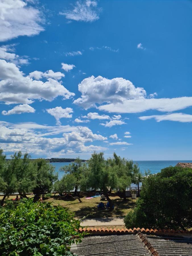 Apartman Luka Novigrad Istria 外观 照片