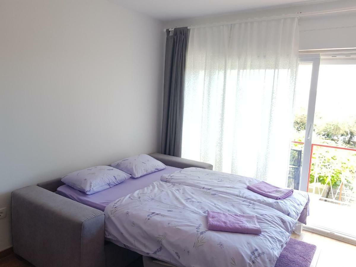 Apartman Luka Novigrad Istria 外观 照片